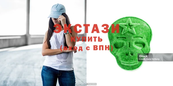 дживик Надым