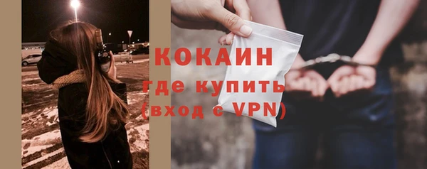 дживик Надым