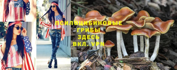 гашиш Алзамай