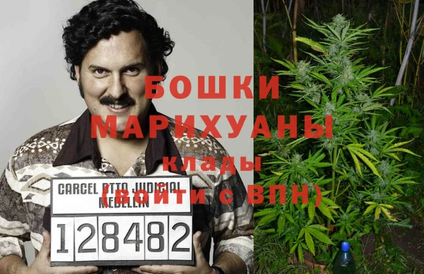 гидра Алексин