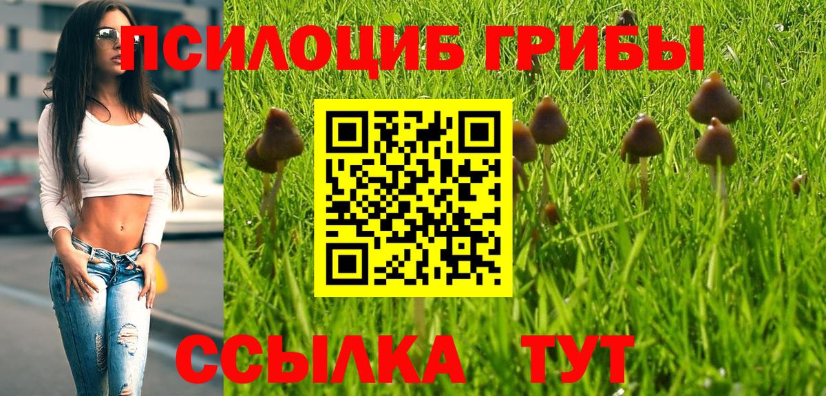 Галлюциногенные грибы мицелий Апатиты